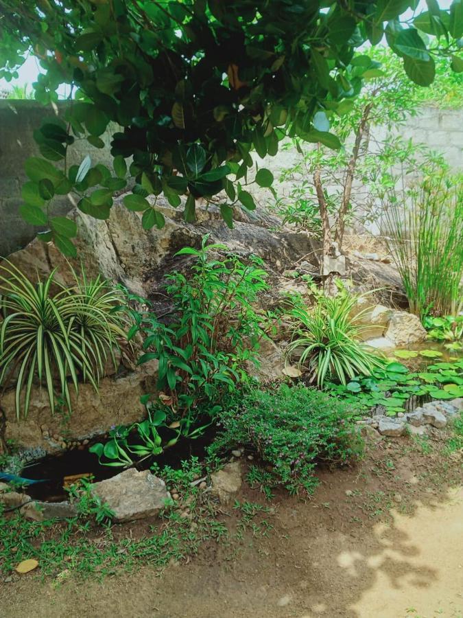 אנוראדפורה Sidhangana Home Stay מראה חיצוני תמונה