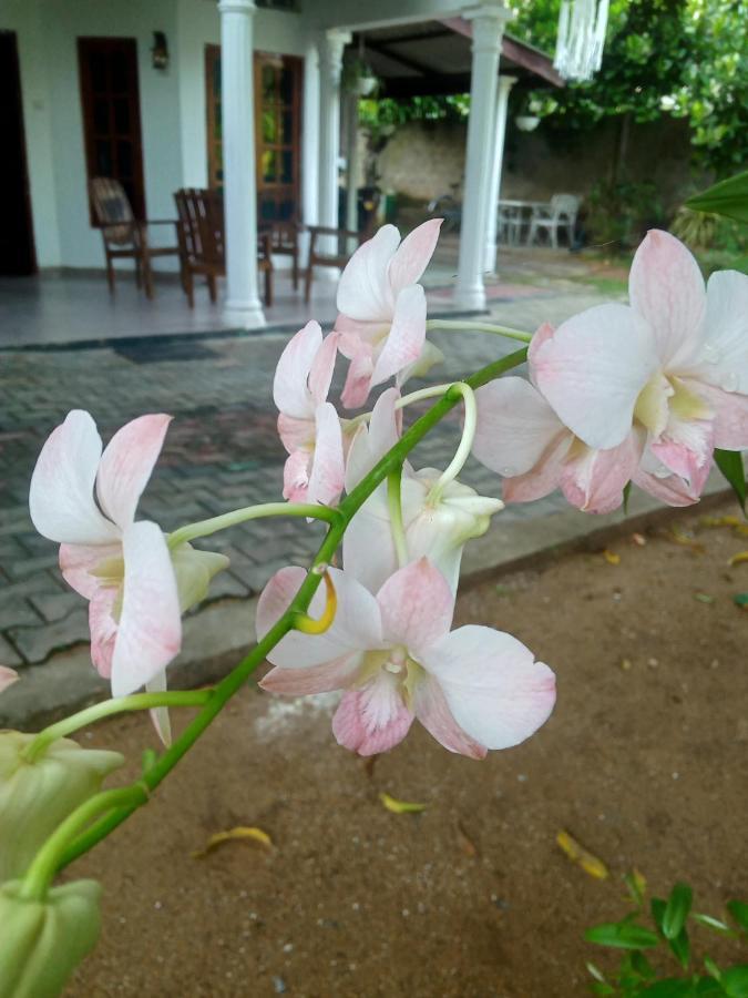 אנוראדפורה Sidhangana Home Stay מראה חיצוני תמונה