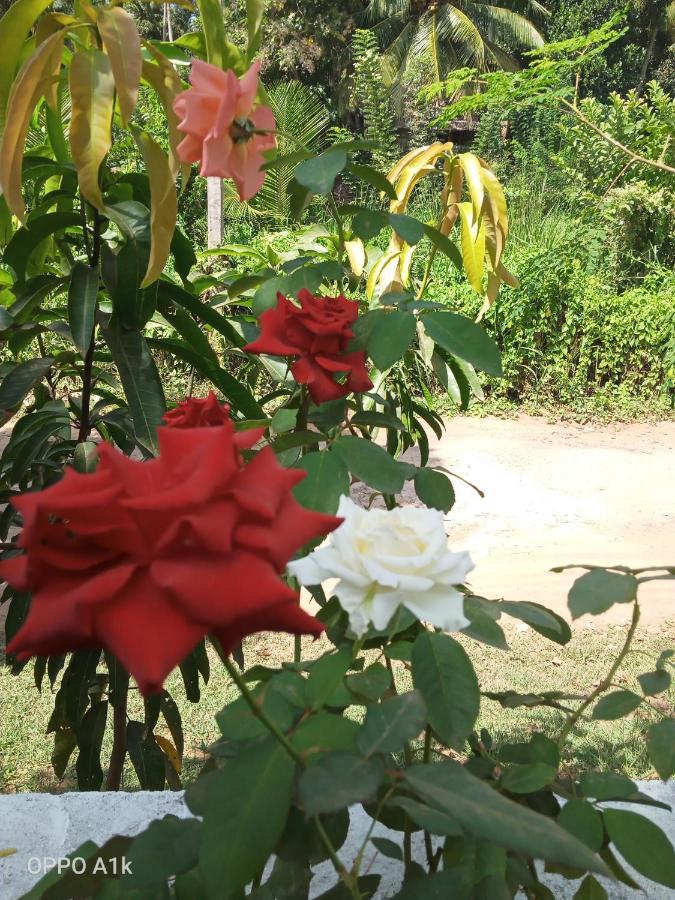 אנוראדפורה Sidhangana Home Stay מראה חיצוני תמונה