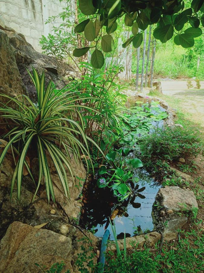 אנוראדפורה Sidhangana Home Stay מראה חיצוני תמונה