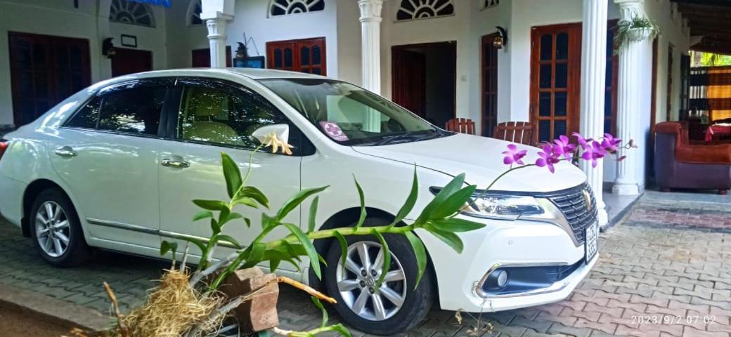 אנוראדפורה Sidhangana Home Stay מראה חיצוני תמונה